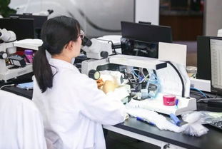 品牌缺位、真?zhèn)坞y辨、款式單一 珠寶業(yè)觸網(wǎng)求變，供應(yīng)鏈?zhǔn)顷P(guān)鍵突破口